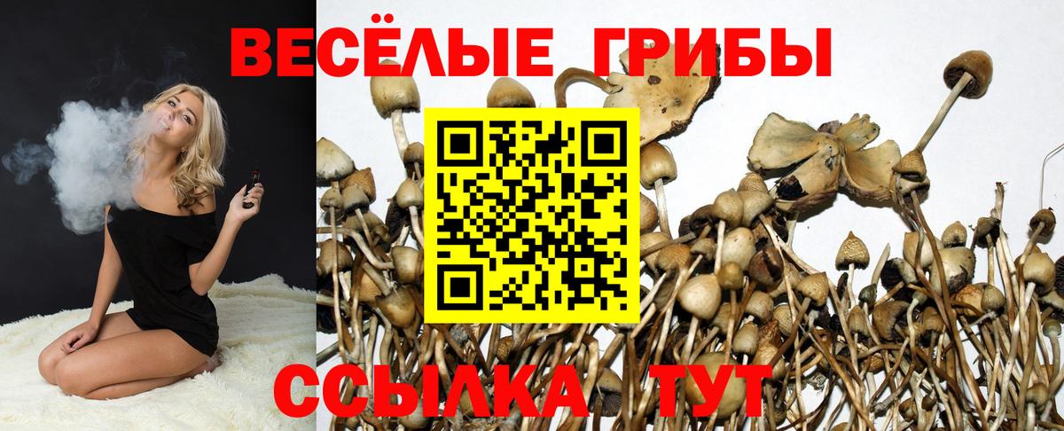 Галлюциногенные грибы Psilocybe  Псилоцибиновые грибы Cubensis  цена наркотик  Вход с VPN  Петрозаводск 